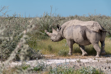 Similar image 22209456