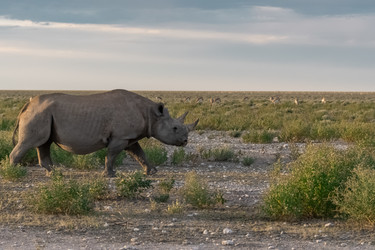 Similar image 22209457