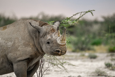 Similar image 22209458