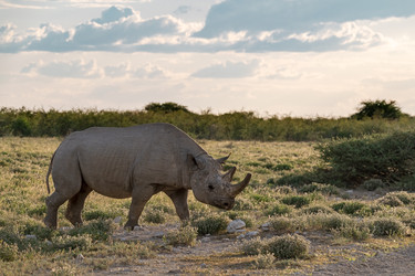 Similar image 22209459