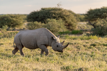 Similar image 22209460