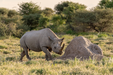 Similar image 22209461