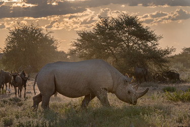 Similar image 22209462