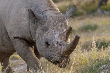 Similar image 22209465