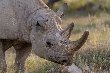 Similar image 22209466