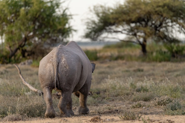 Similar image 22209467