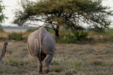 Similar image 22209468