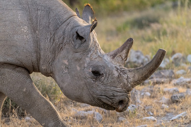 Similar image 22209469