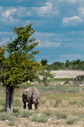 Similar image 22209470