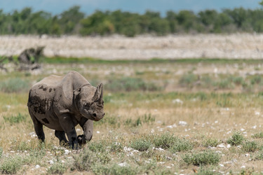 Similar image 22209471