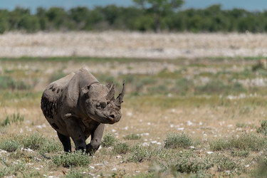 Similar image 22209472