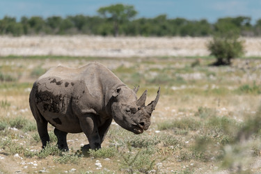 Similar image 22209473