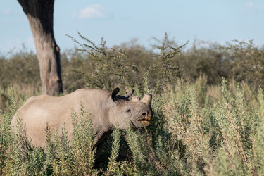 Similar image 22209474