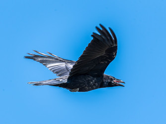 Similar image 22208859