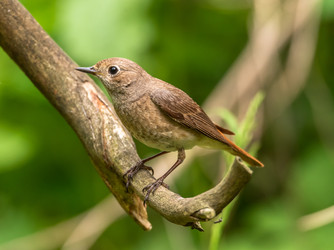 Similar image 22208860