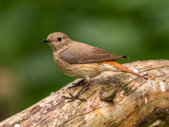 Similar image 22208862