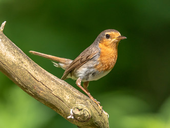 Similar image 22208866