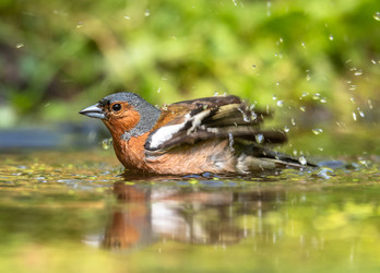 Similar image 22208868