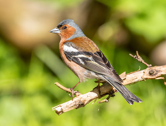 Similar image 22208869