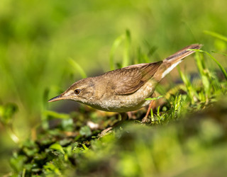 Similar image 22209063