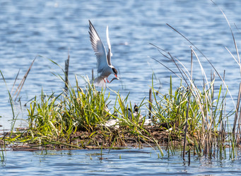 Similar image 22209065