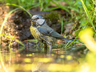 Similar image 22209067