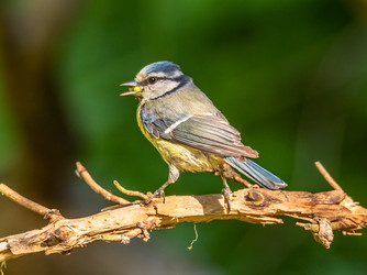 Similar image 22209068