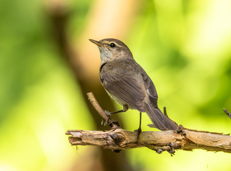 Similar image 22209070