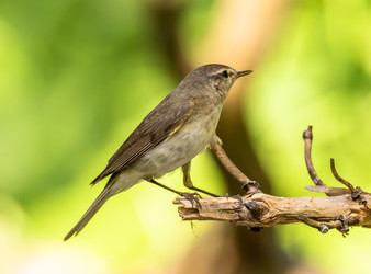 Similar image 22209071