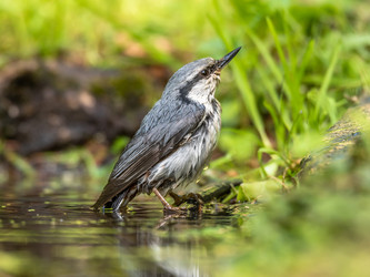 Similar image 22209072