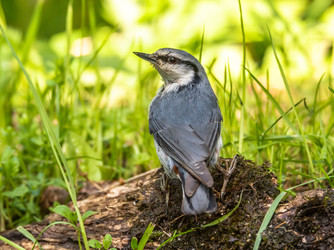 Similar image 22209073