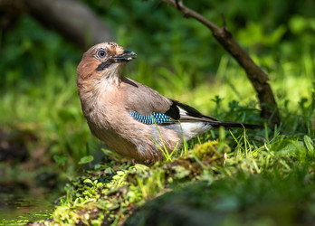 Similar image 22209075