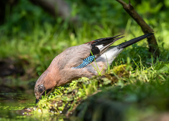 Similar image 22209076