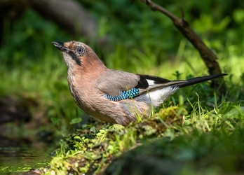 Similar image 22209077