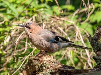 Similar image 22209078