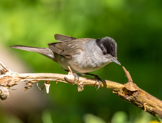 Similar image 22209079