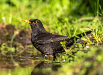 Similar image 22209080