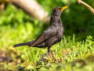 Similar image 22209081