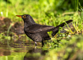 Similar image 22209082