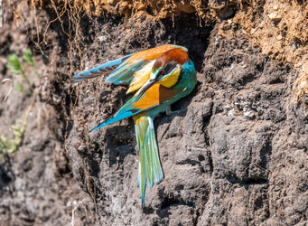 Similar image 22209083