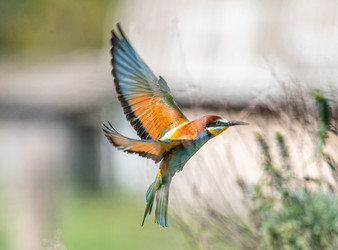 Similar image 22209084