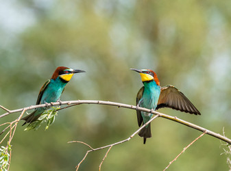 Similar image 22209085