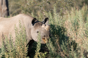 Similar image 22210486