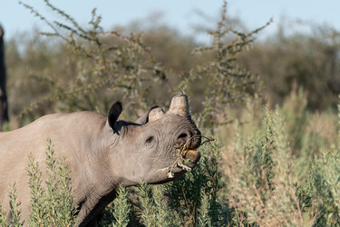 Similar image 22210487