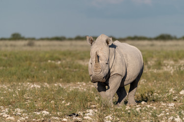 Similar image 22210488