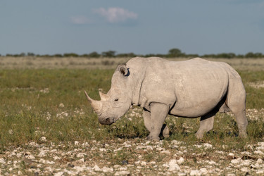 Similar image 22210489