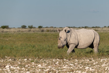 Similar image 22210491