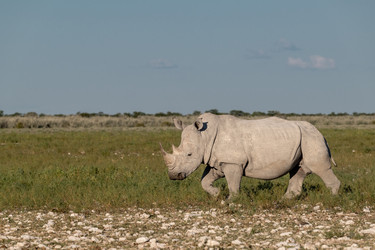 Similar image 22210492