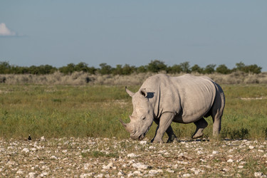 Similar image 22210493