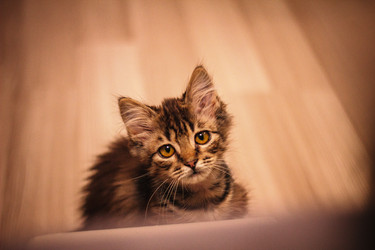 Similar image 22209087